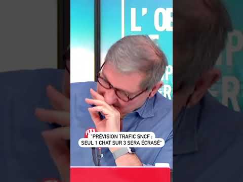 « Prévision trafic SNCF : seul 1 chat sur 3 sera écrasé, nous nous excusons de la gêne occasionnée »