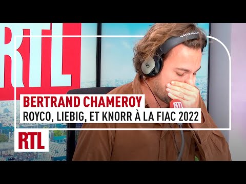 Bertrand Chameroy : « Royco, Liebig, et Knorr à la FIAC 2022 »