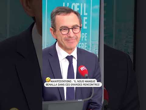 Manifestations : « il nous manque Alexandre Benalla dans ces grandes rencontres !