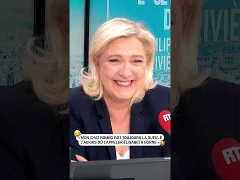 « Mon chat Roméo fait toujours la gueule, j’aurais dû l’appeler Elisabeth Borne »