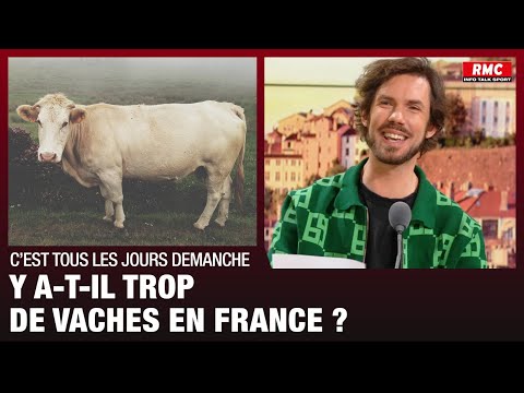 Les pets des vaches sont dangereux