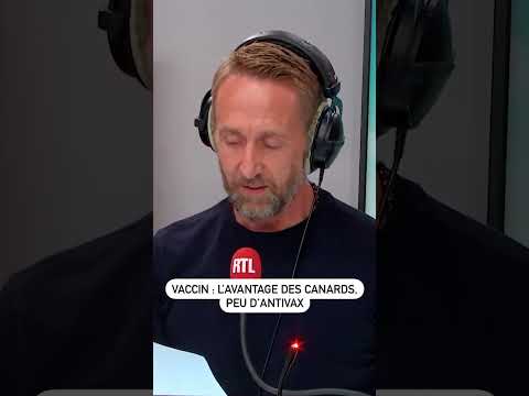 Vaccin: l’avantage des canards, peu d’antivax