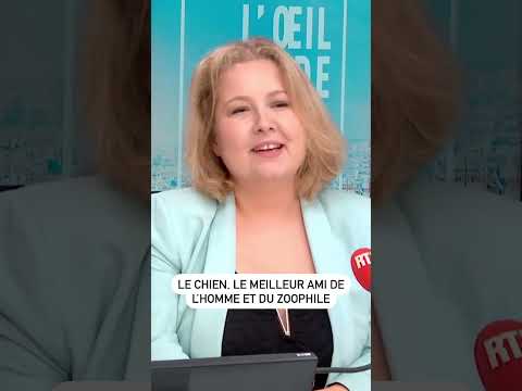 Le chien, le meilleur ami de l’homme et du zoophile