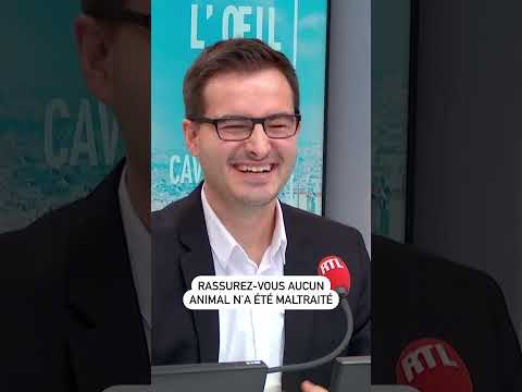 Rassurez-vous aucun animal n’a été maltraité