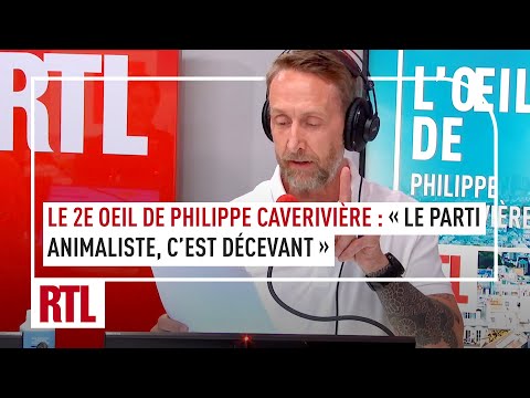 Le 2e oeil de Philippe Caverivière : « Le parti animaliste, c’est décevant »