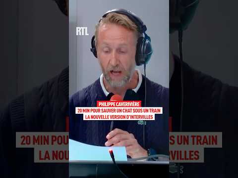 20 minutes pour sauver un chat sous un train : la nouvelle version d’Intervilles