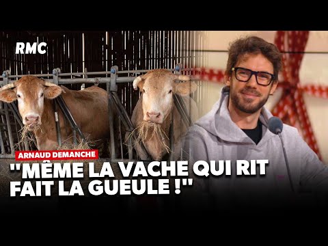 Dermatose : la colère gronde chez les agriculteurs