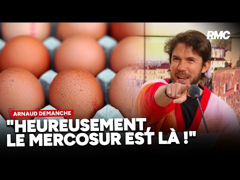 Œufs : C&rsquo;est la pénurie !