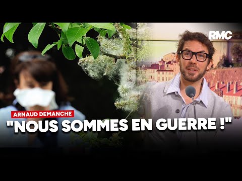 Le retour du pollen… en avance !