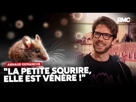 Hantavirus : « Tout le monde flippe »